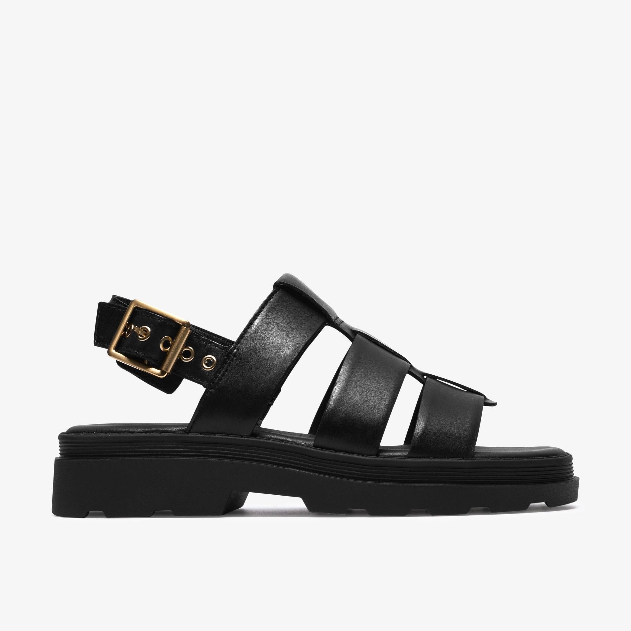 Orinoco3 Strap
Noir
