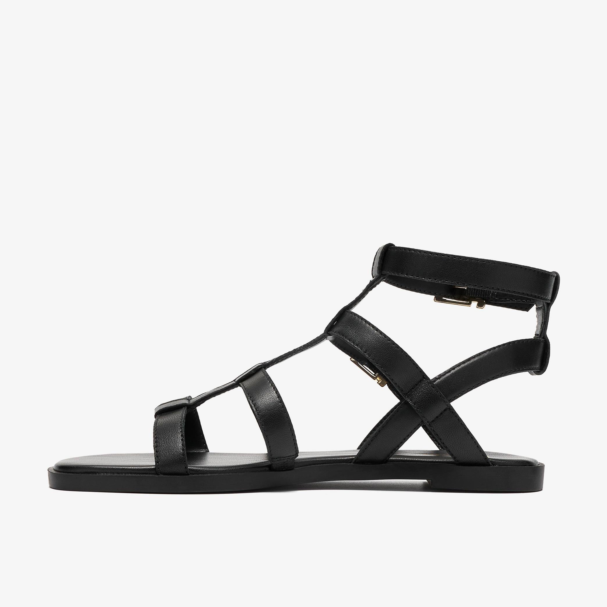 Erisia Glad
Noir