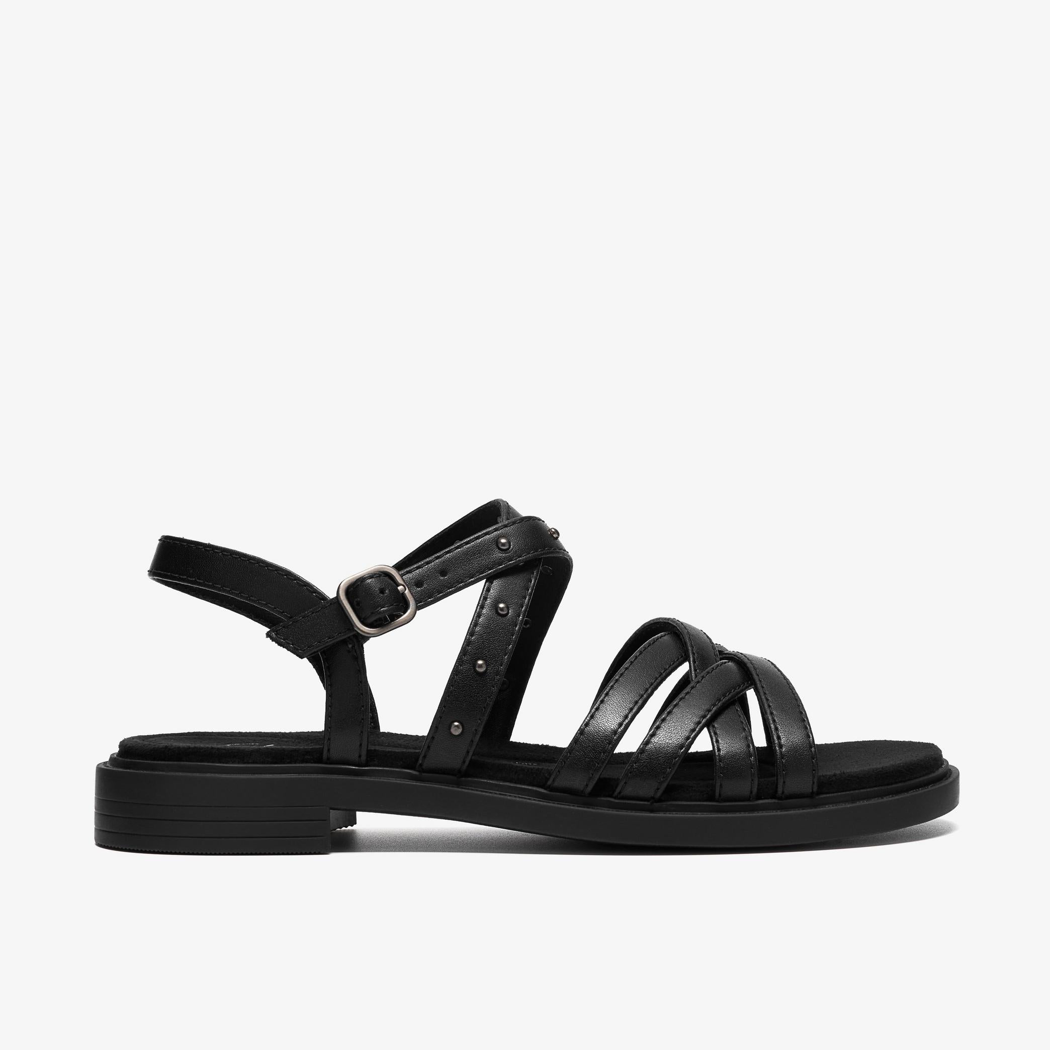 Trivanni Cove
Noir