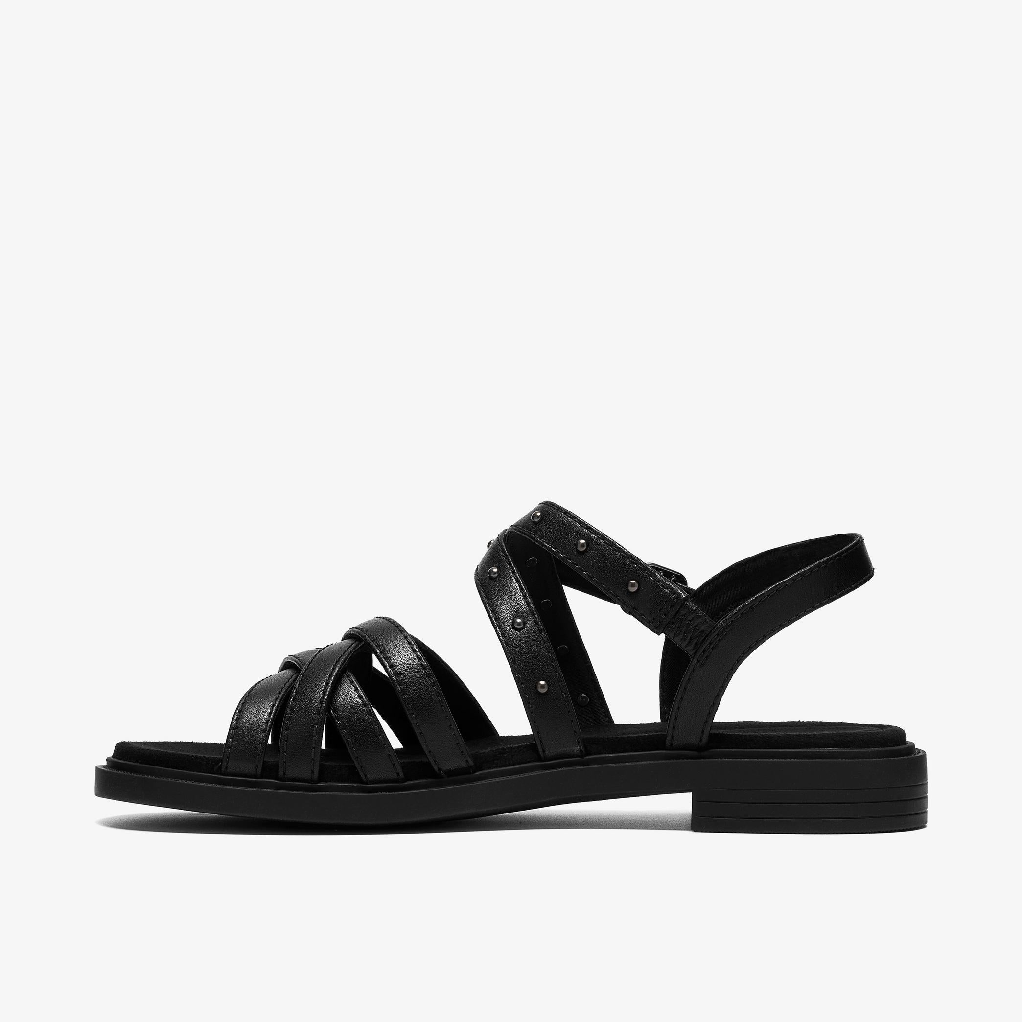 Trivanni Cove
Noir